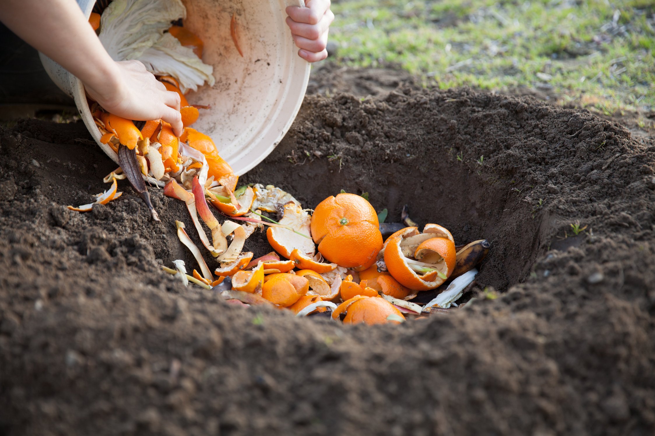 composting